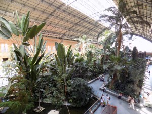 Madrid Estacio de atocha old station garden5