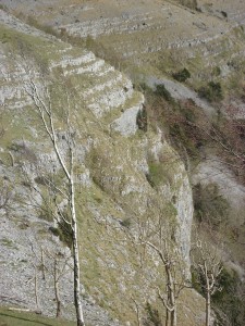 Whitbarrow Scar april 2012