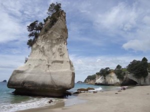 cathedral cove stack, coromandel peninsulac