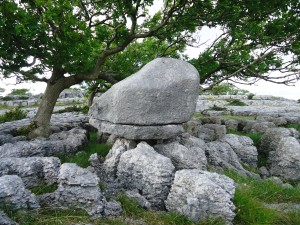 holmepark fell limestone boulders7