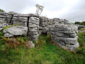 holmepark fell limestone outcrop