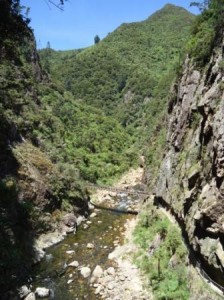 karangahake gorge, coromandel peninsula5c