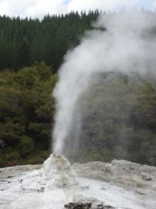 lady knox geyser at Wai o tapu thermal wonderland2c