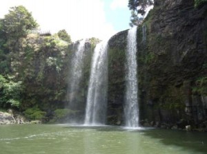 whangarei waterfalls6c