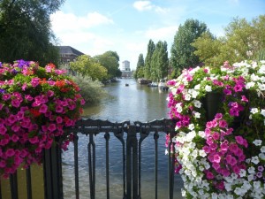 Amsterdam colour