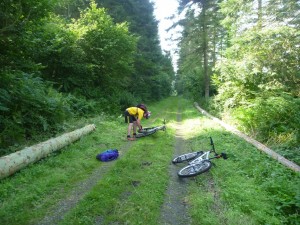 Cycling track