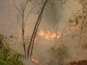 Fire below our pool area