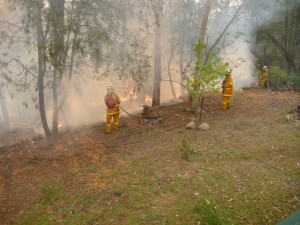 Firemen in the back garden