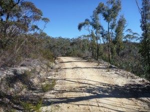 Small Woodford Fire Trail 2