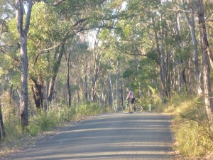 Small Mountain Biking 2