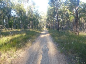 Small Mountain Biking 3