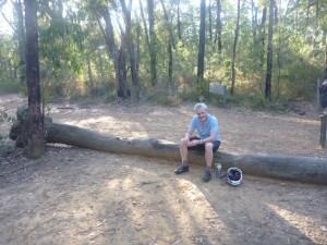 Small Mountain Biking 4