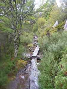 Small Cradle Mountain walk 07