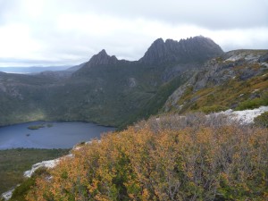 Small Cradle Mountain walk 17