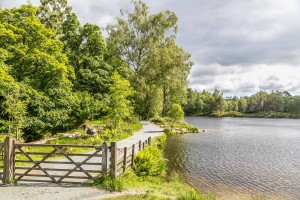 Tarn Hows : the footpath as it crosses the dam. Not at all obtrusive. 