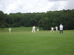 Cricket at Holker